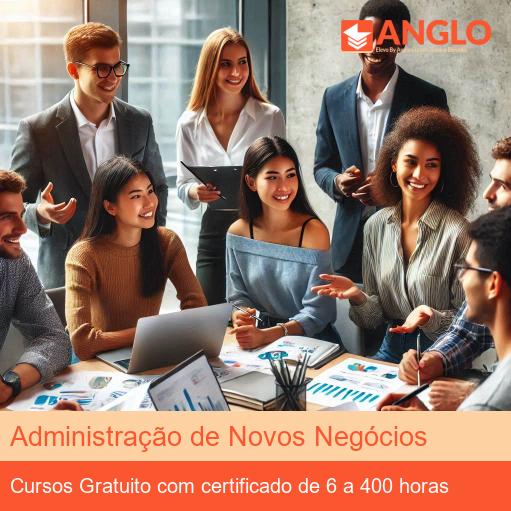 Administração de Novos Negócios